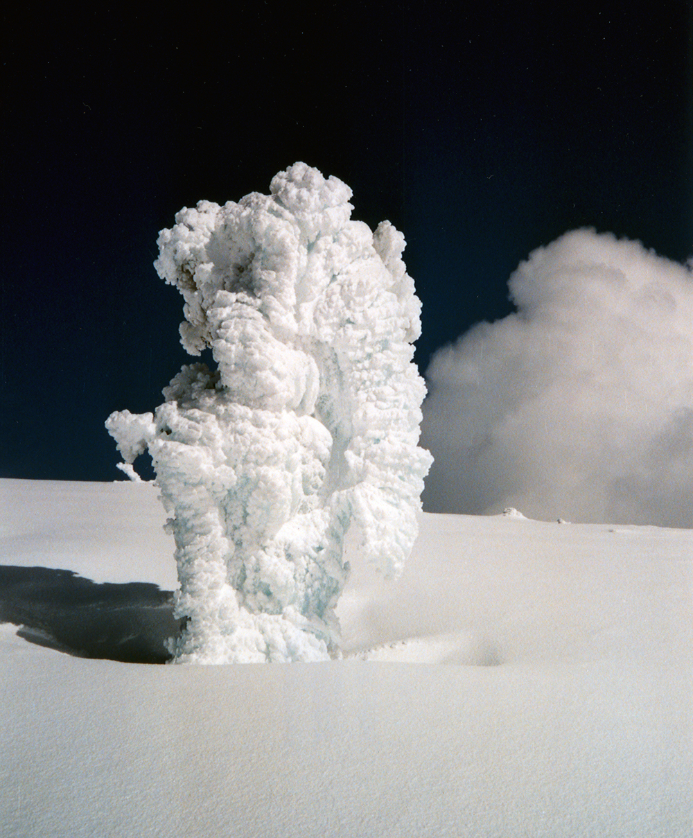 Rimed tree and cloud
