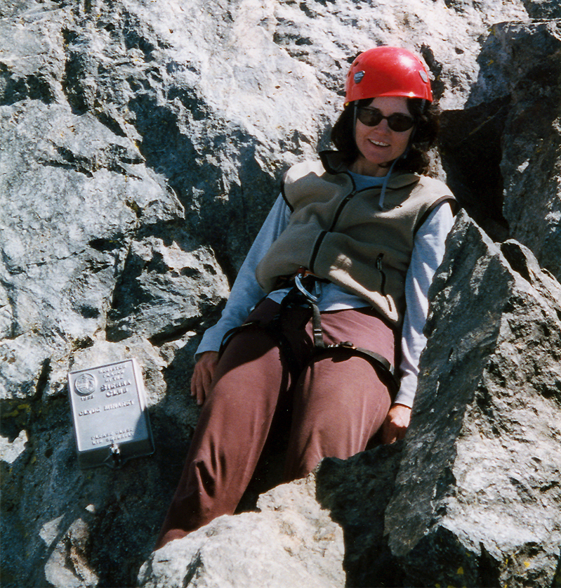 Clyde Minaret summit