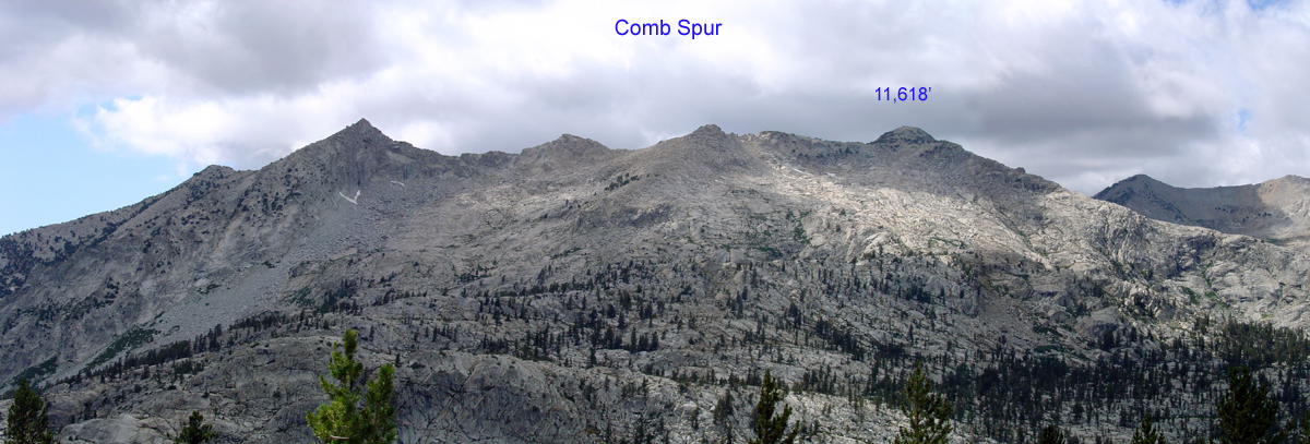 Comb Spur