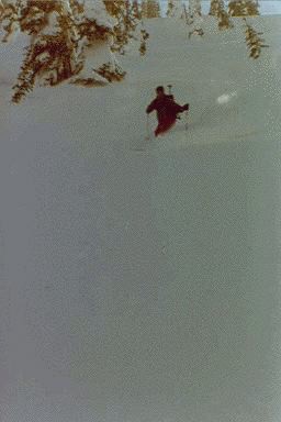Skiing Powder