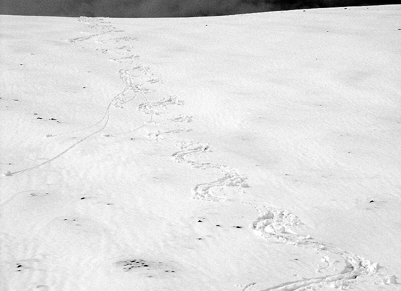 Ski tracks
