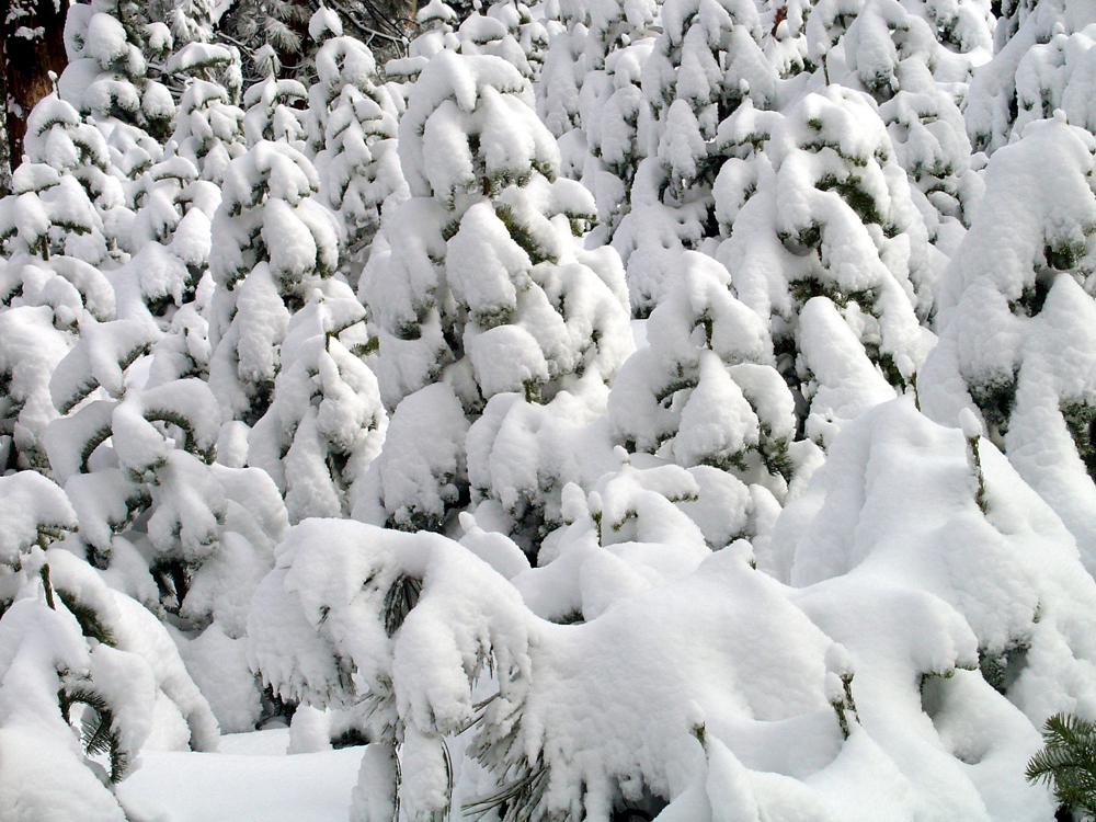 Loaded after a storm