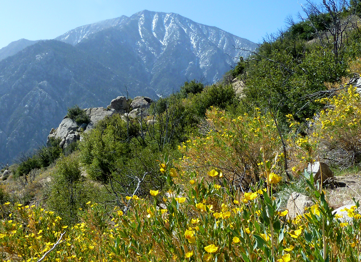 San Jacinto to Cabazon