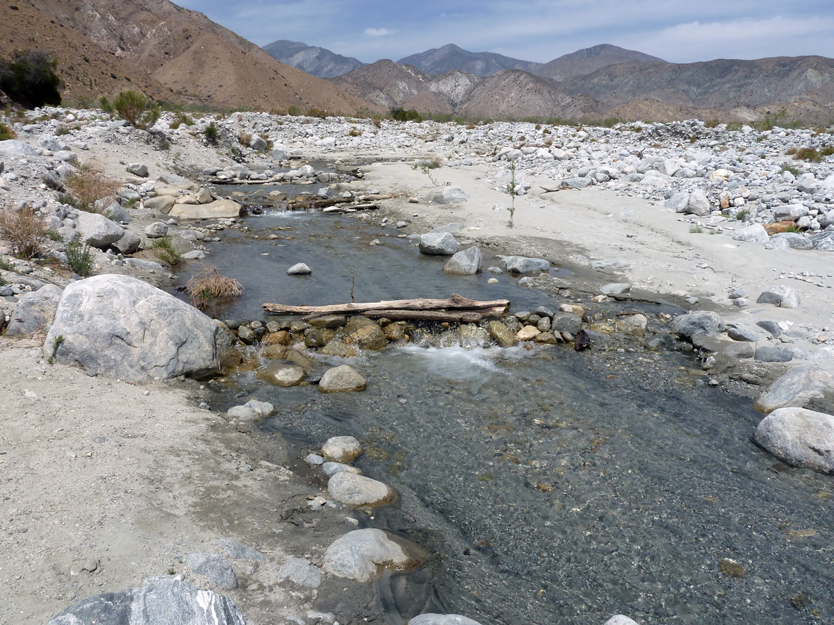 San Gorgonio Wilderness