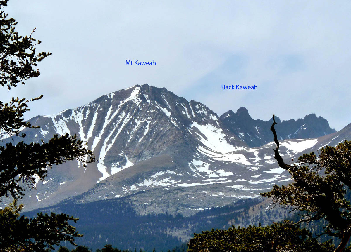 Kaweah views