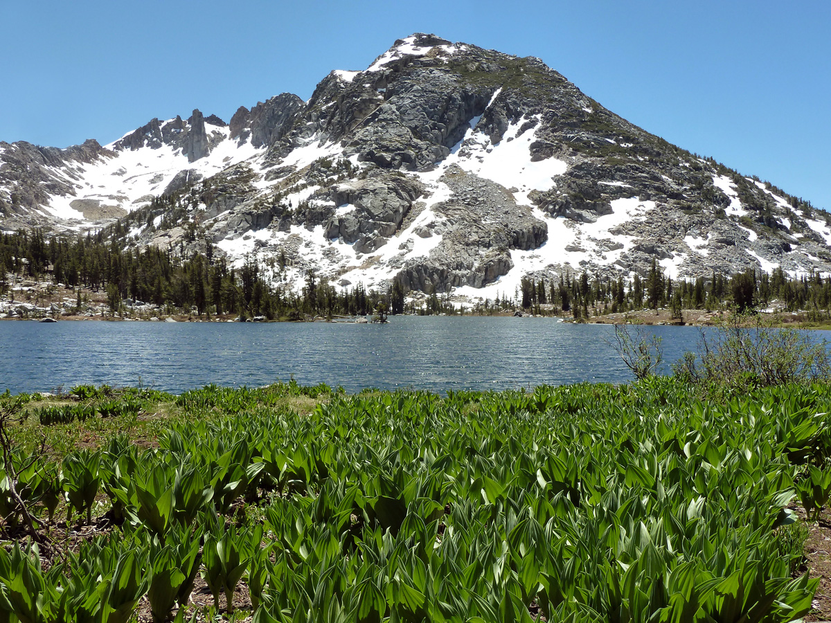 Mountains,blue lakes and green meadows