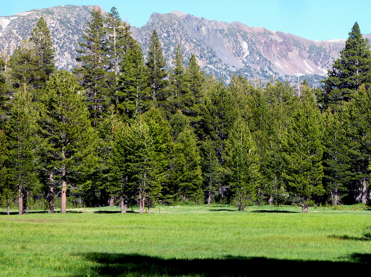 Mountains,blue lakes and green meadows