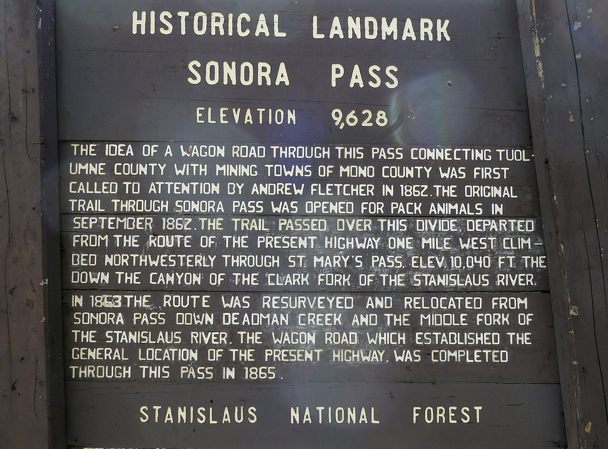 Plaque