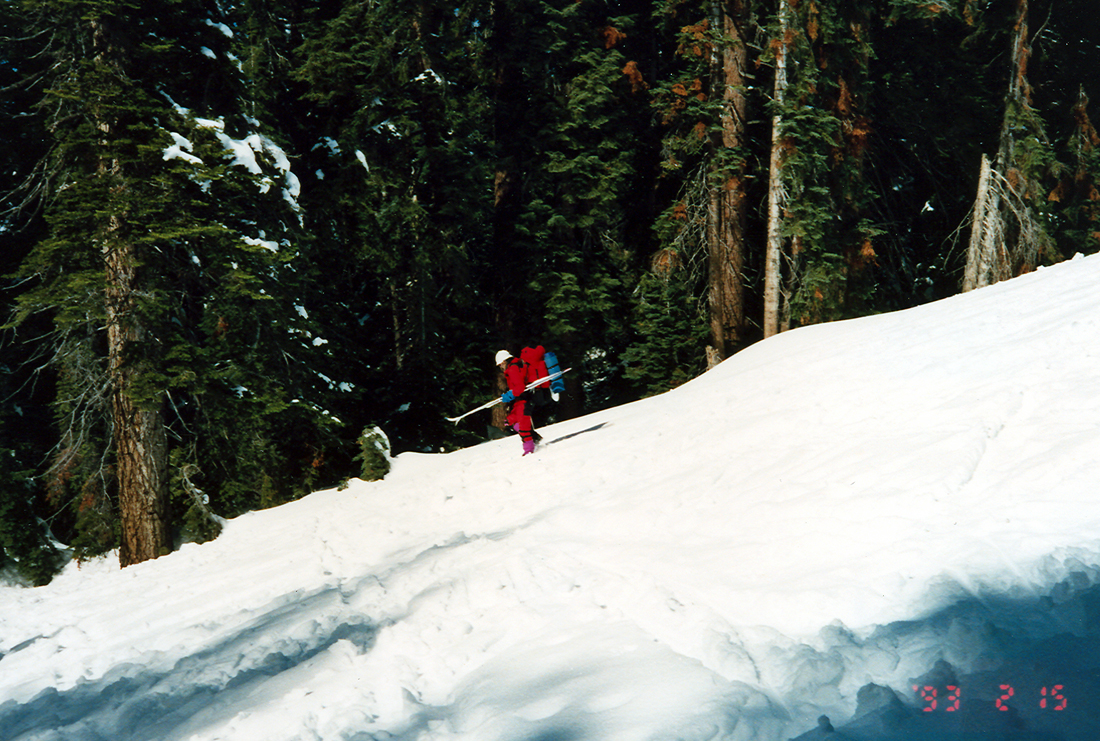 Pear Lake Hut