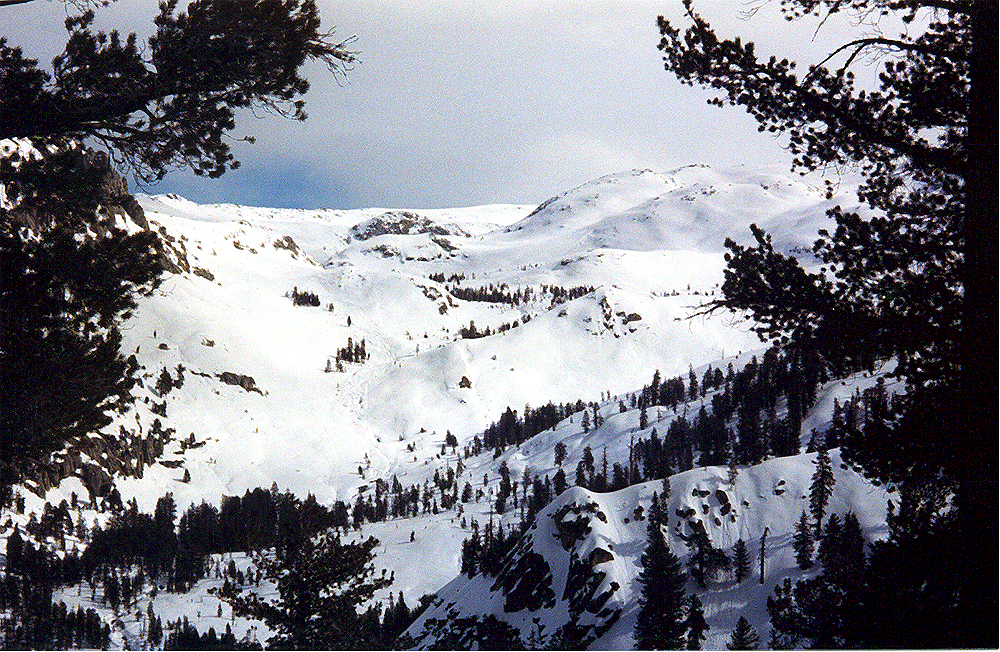Ski slopes
