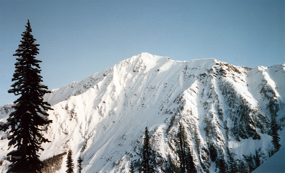 Selkirks