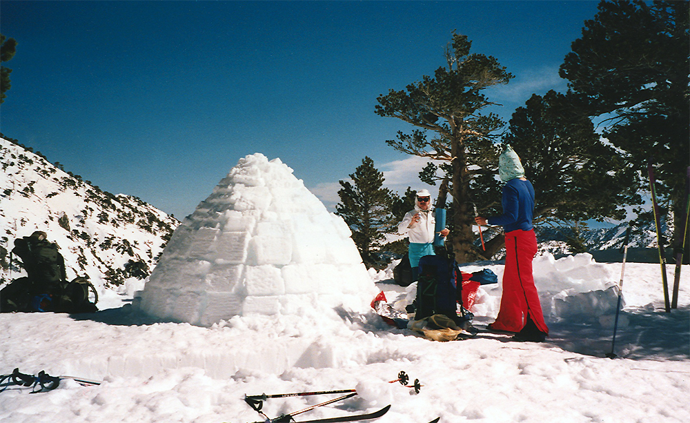 Steve's Igloo