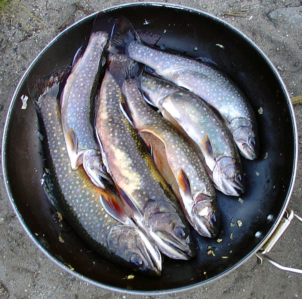 Ski Mountaineers Peak