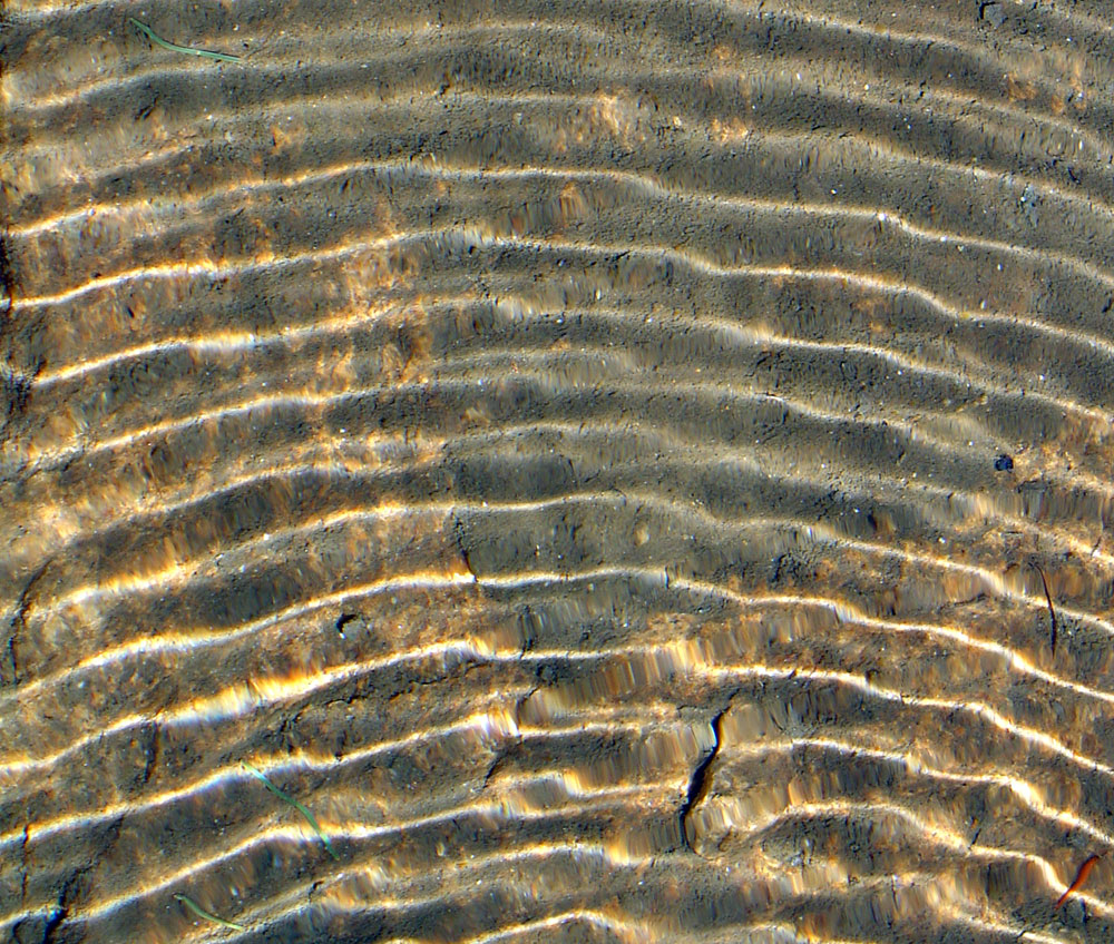 Ski Mountaineers Peak