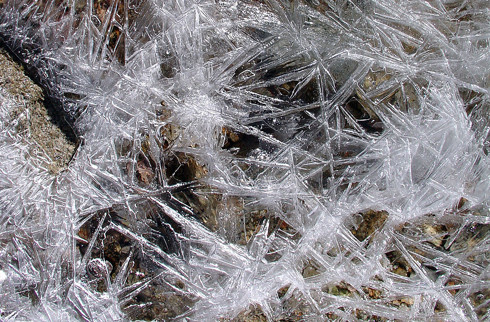 Ski Mountaineers Peak
