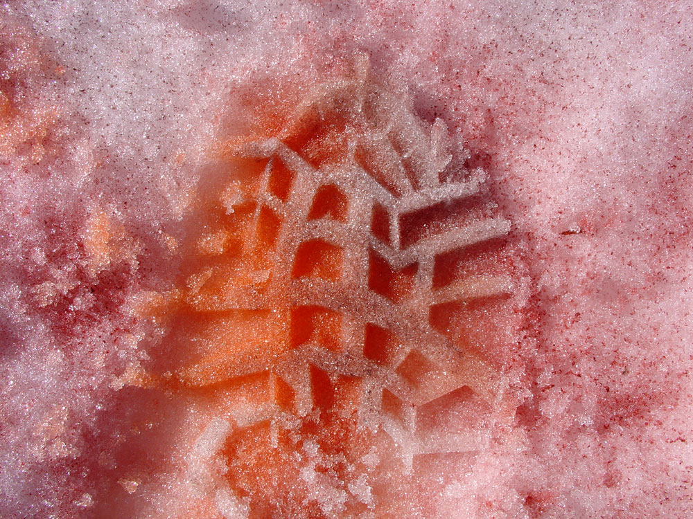 Ski Mountaineers Peak