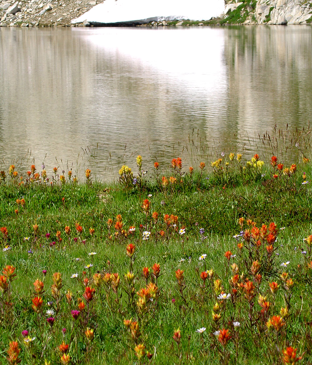 Ski Mountaineers Peak