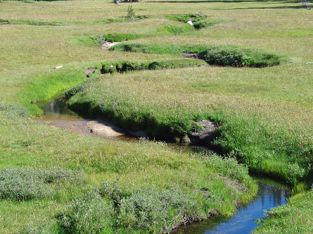 Ski Mountaineers Peak