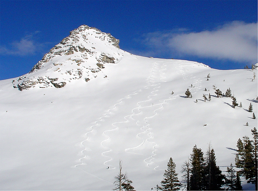 Ski tracks