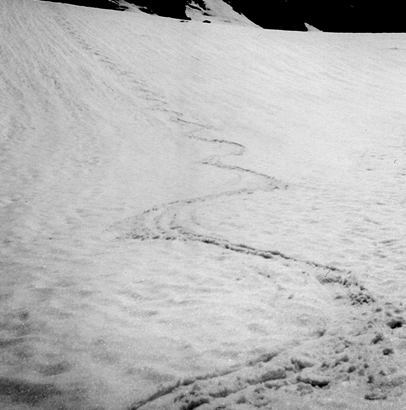 Firnglider tracks